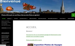 http://beadupoitou.fr